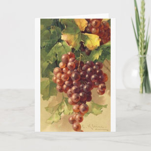 Vintage - Grapes on the Vine, Card