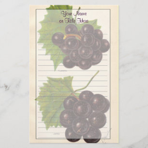 Vintage Grapes Stationery