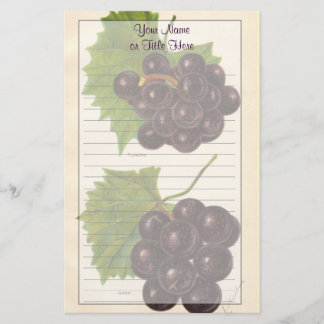 Vintage Grapes Stationery