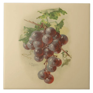Vintage grapes tile