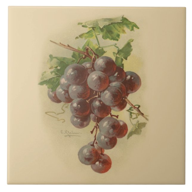 Vintage grapes tile (Front)