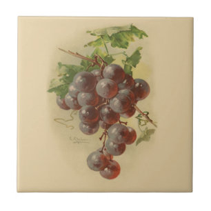 Vintage grapes tile