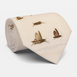 Vintage Grasshopper Diagram (1875) Tie