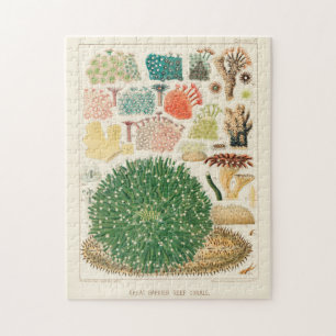 Vintage Great Barrier Reef of Australia Corals Jigsaw Puzzle