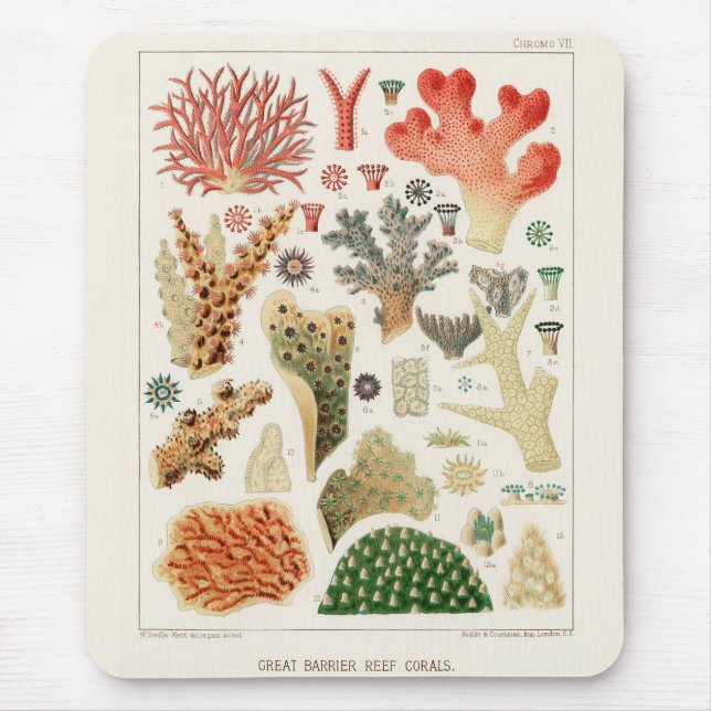 Vintage Great Barrier Reef of Australia Corals Mouse Pad (Front)