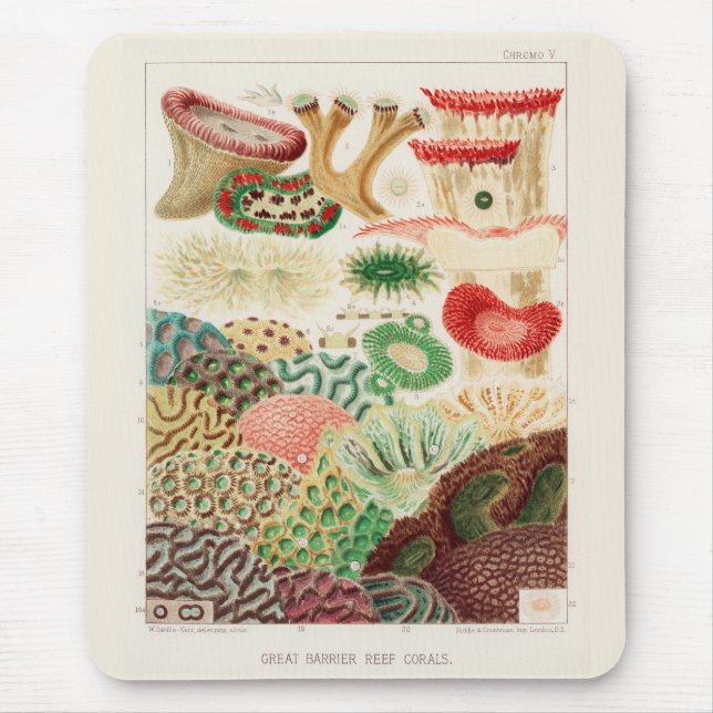 Vintage Great Barrier Reef of Australia Corals Mouse Pad (Front)