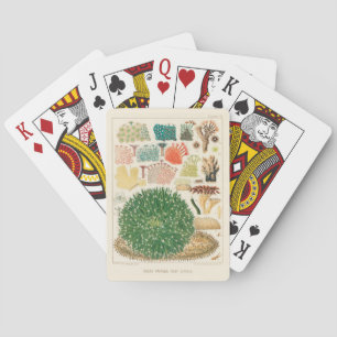 Vintage Great Barrier Reef of Australia Corals Playing Cards