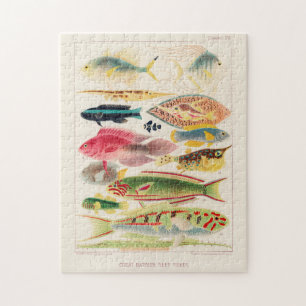 Vintage Great Barrier Reef of Australia Fishes Jigsaw Puzzle