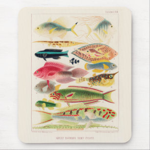 Vintage Great Barrier Reef of Australia Fishes Mouse Pad