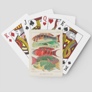 Vintage Great Barrier Reef of Australia Fishes Playing Cards