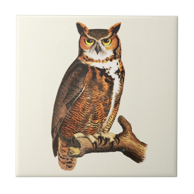 Vintage great horned owl drawing ceramic tile (Front)