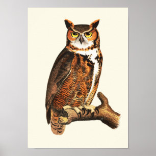 Vintage great horned owl drawing poster