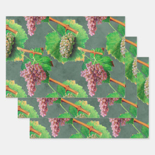 Vintage Green and Purple Grapes on Vines Wrapping Paper Sheet