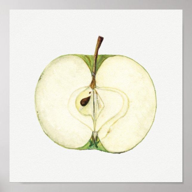 Vintage Green Apple Fruit Painting Poster (Front)