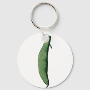 Vintage Green Bean Key Ring