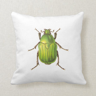 Vintage Green Beetle Illustration Cushion