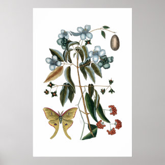 Vintage green botanical poster