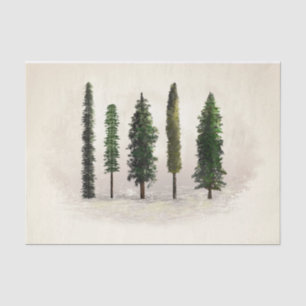 Vintage Green Forest Trees Rustic Woodsy Wedding Tissue Paper