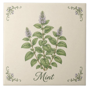 Vintage Green Mint Botanical Kitchen Herb Garden Ceramic Tile