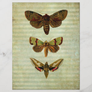 Vintage Green Moths Scrapbook Paper