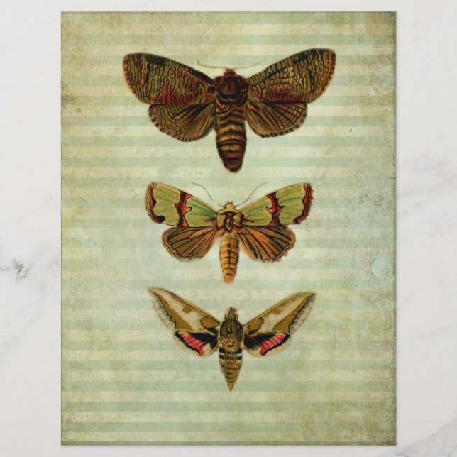 Vintage Green Moths Scrapbook Paper (Front)