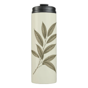 Vintage Green Sweet Chestnut Branch Thermal Tumbler