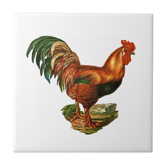 Vintage Green Tail Feathers Rooster Cockerel Ceramic Tile (Front)