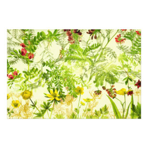 Vintage Green Woodland Botanical Leaves Wildflower Photo Print