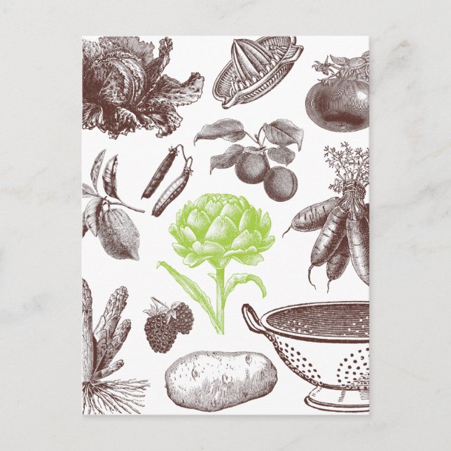 Vintage Greenmarket Postcard (Front)