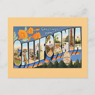 Vintage greetings from California Postcard