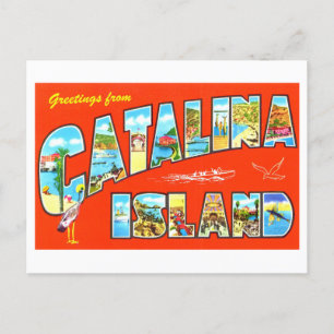 Vintage Greetings from Catalina Island Postcard