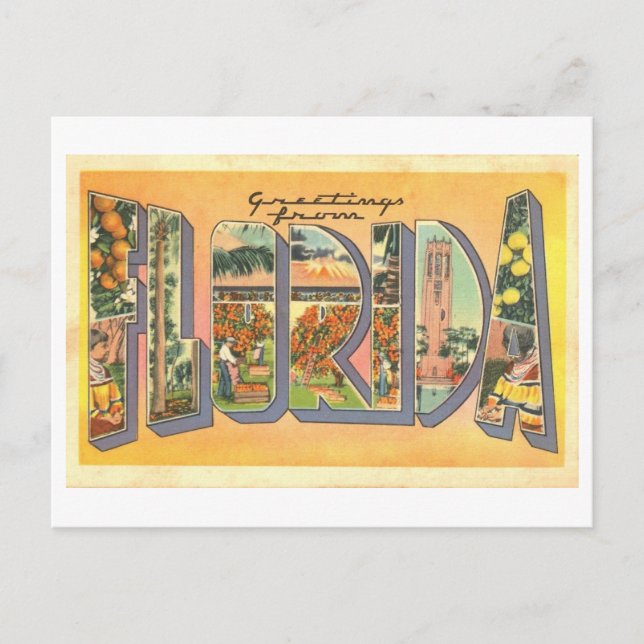 Vintage Greetings from Florida Postcard (Front)