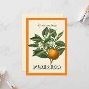 Vintage Greetings from Florida with Orange Fruit 