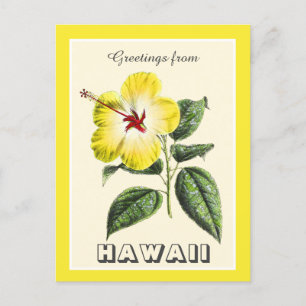 Vintage Greetings from Hawaii Yellow Hibiscus Postcard
