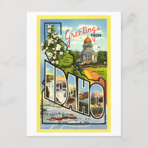 Vintage Greetings from Idaho Postcard