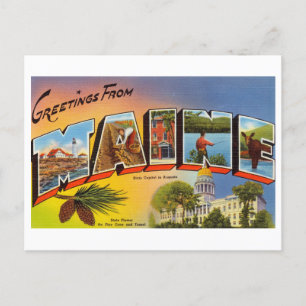 Vintage Greetings from Maine Postcard