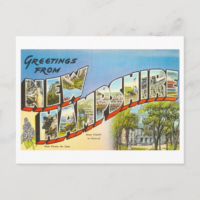 Vintage Greetings from New Hampshire Postcard (Front)