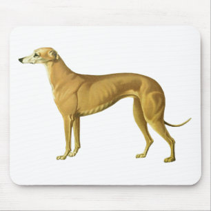 Vintage Greyhound Illustration Mouse Pad