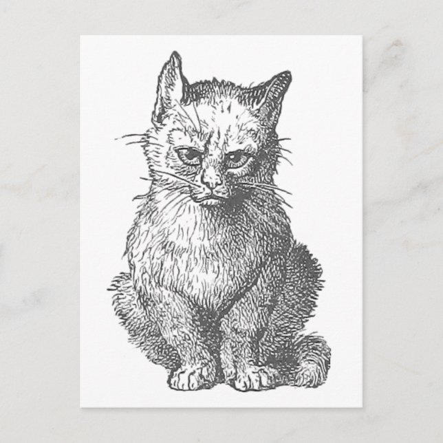 Vintage Grumpy Cat Design Postcard (Front)