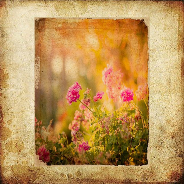 Vintage Grunge Wildflowers Scrapbook Paper (Creator Uploaded)