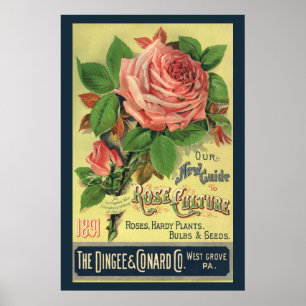 Vintage Guide to Rose Culture Book Cover Art, 1891 Poster