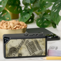 Vintage Guitar With Microphone - Outdoor Speaker