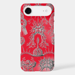 Vintage Haeckel