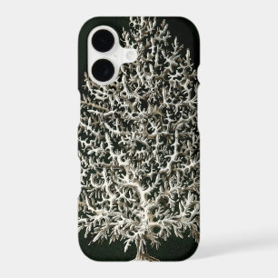 Vintage Haeckel