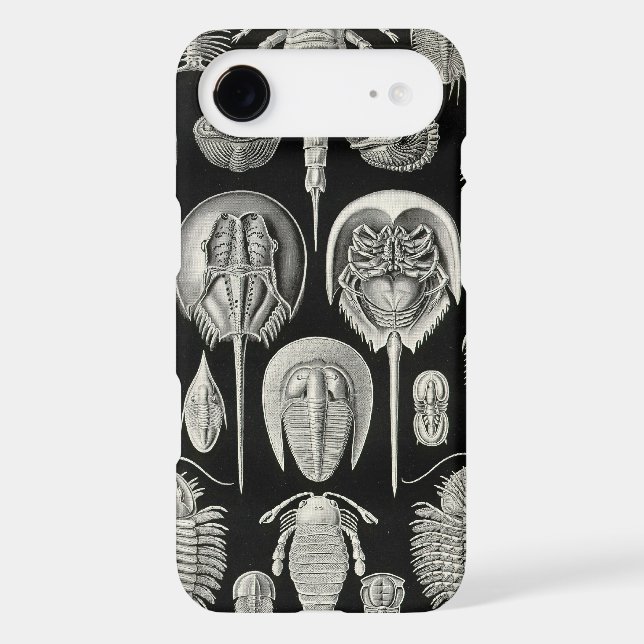 Vintage Haeckel (Back)