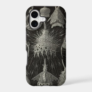 Vintage Haeckel
