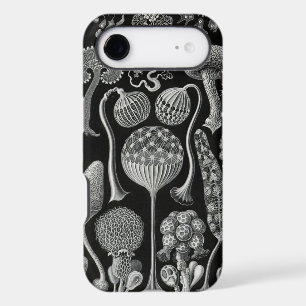 Vintage Haeckel