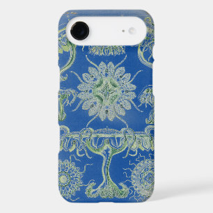 Vintage Haeckel
