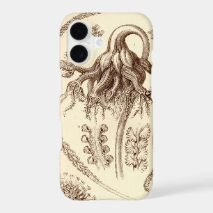 Vintage Haeckel 