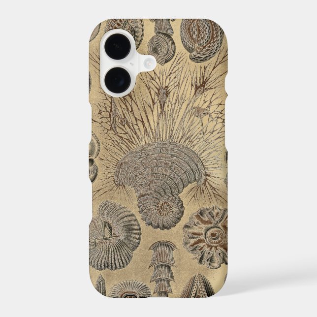 Vintage Haeckel (Back)